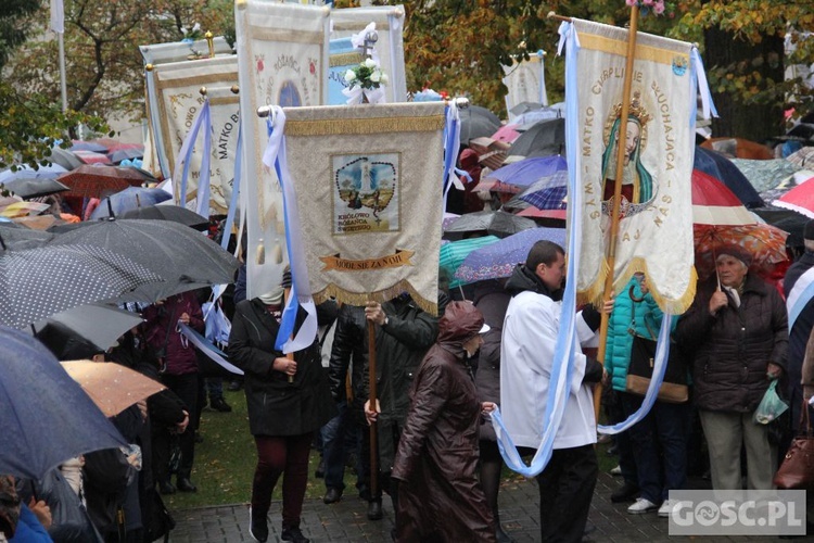 Pielgrzymka Róż Żywego Różańca do Rokitna