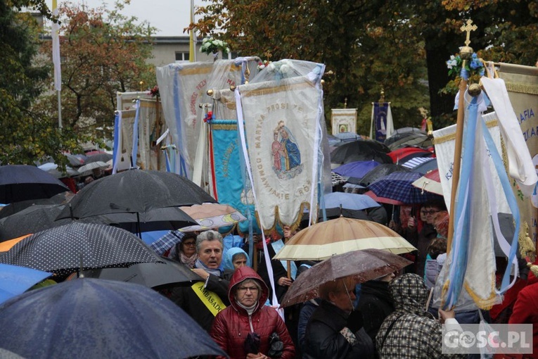 Pielgrzymka Róż Żywego Różańca do Rokitna