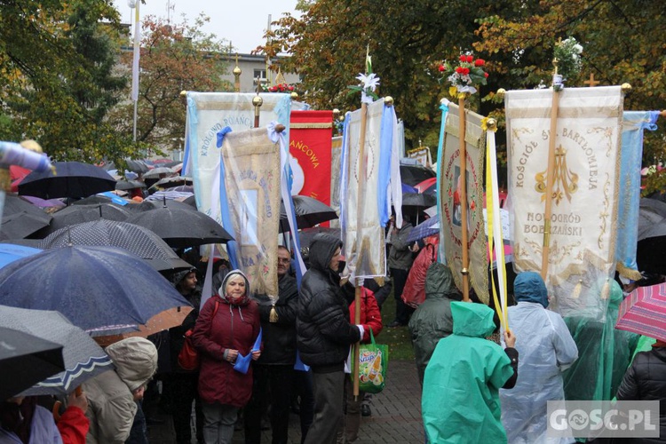 Pielgrzymka Róż Żywego Różańca do Rokitna