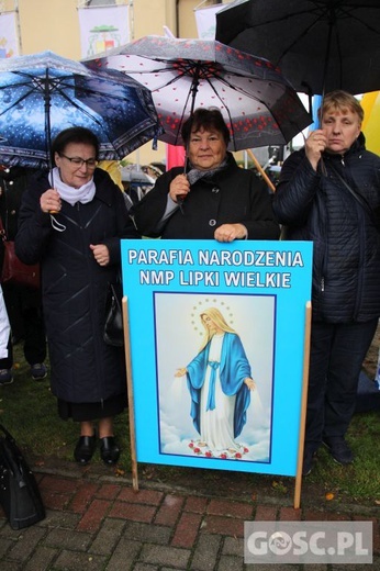 Pielgrzymka Róż Żywego Różańca do Rokitna