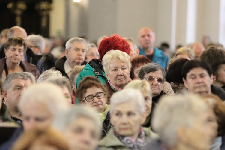 Tysiące płatków Róż Żywego Różańca