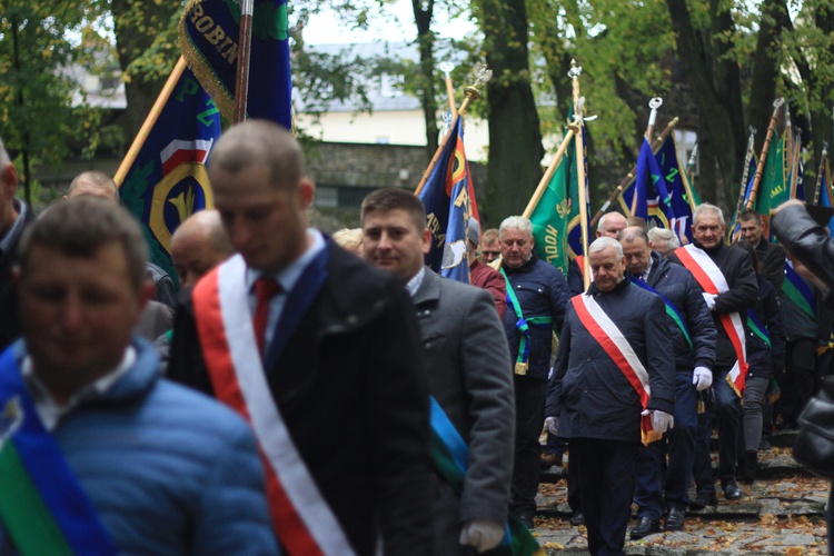 Pielgrzymka hodowców gołębi i orkiestr kalwaryjskich