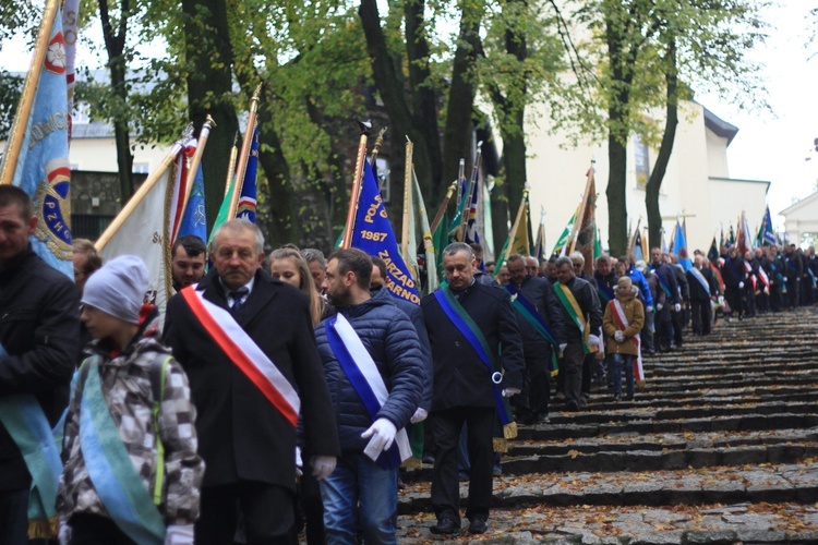 Pielgrzymka hodowców gołębi i orkiestr kalwaryjskich