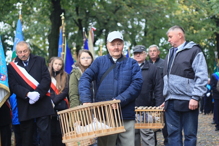 Pielgrzymka hodowców gołębi i orkiestr kalwaryjskich