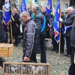 Pielgrzymka hodowców gołębi i orkiestr kalwaryjskich