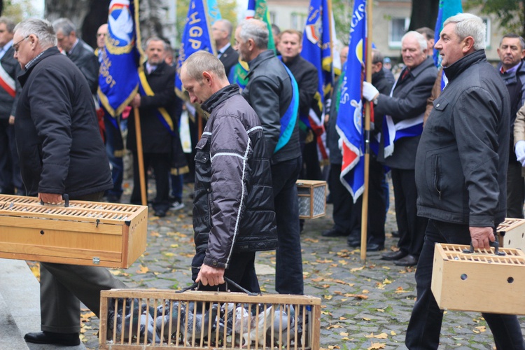 Pielgrzymka hodowców gołębi i orkiestr kalwaryjskich