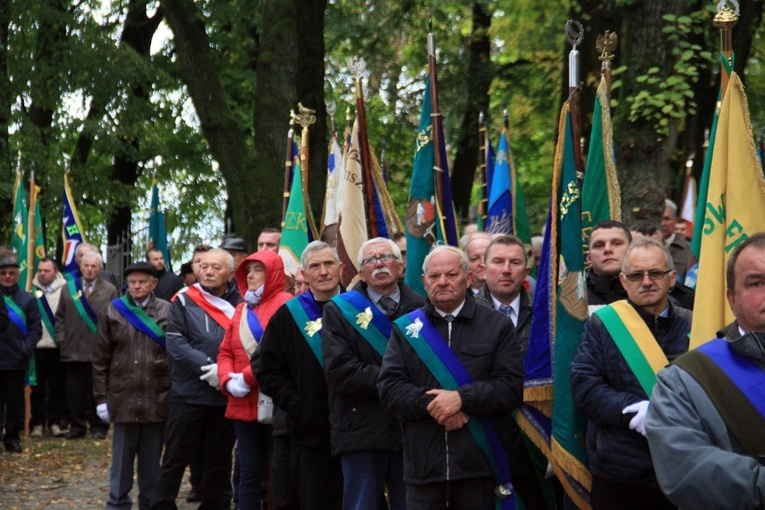 Pielgrzymka hodowców gołębi i orkiestr kalwaryjskich