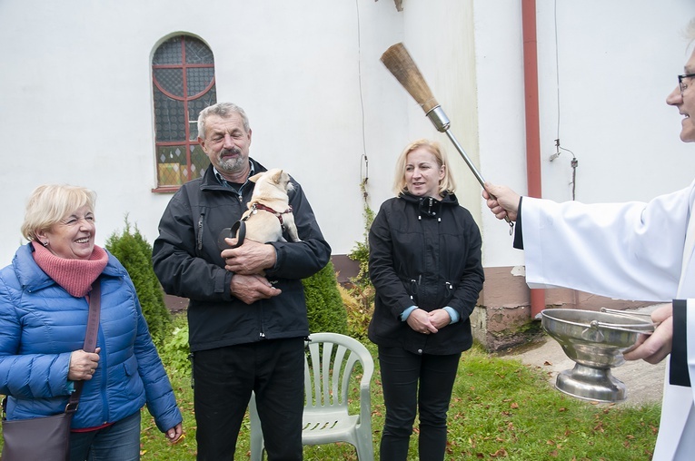 Błogosławieństwo zwierząt