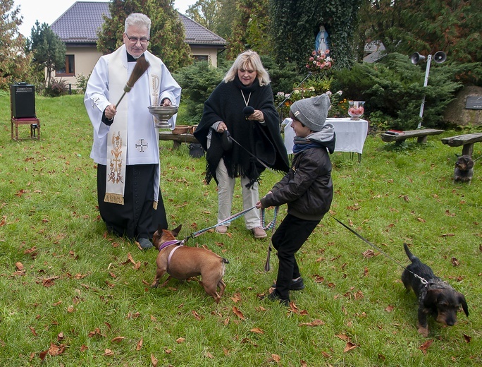 Błogosławieństwo zwierząt