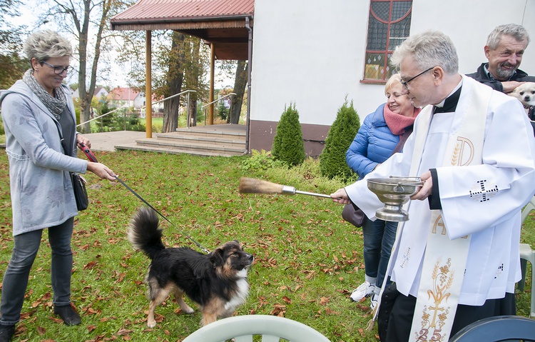 Błogosławieństwo zwierząt