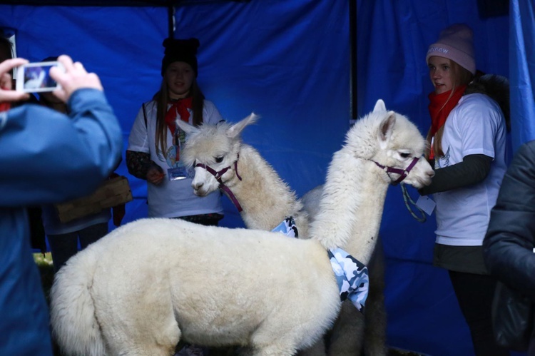 Festyn misyjny w Dębicy