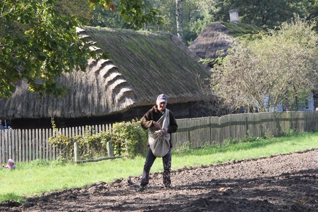 Festiwal Ziemniaka w MWR