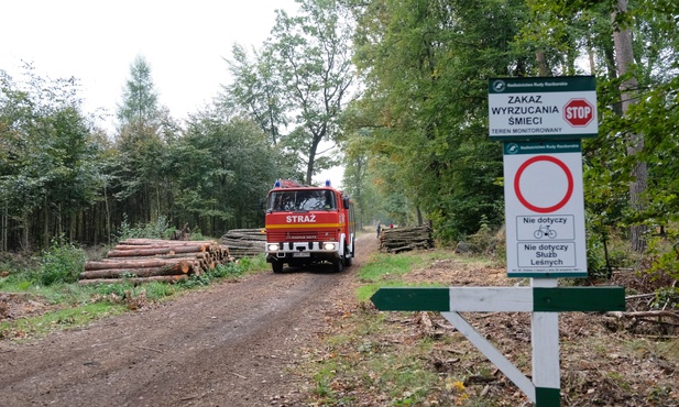 Kuźnia Raciborska: "Wybuchowy" las