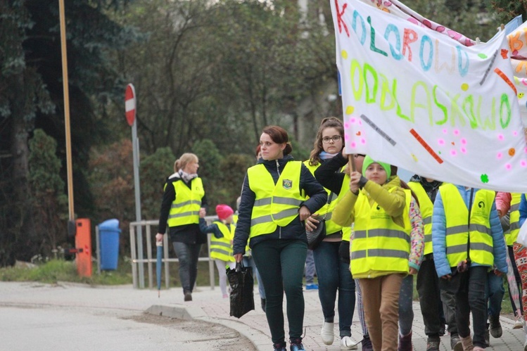 Odblaskowa szkoła w Rdziostowie