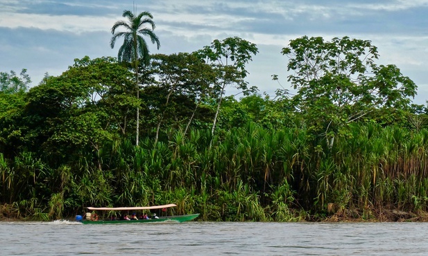 Amazonia