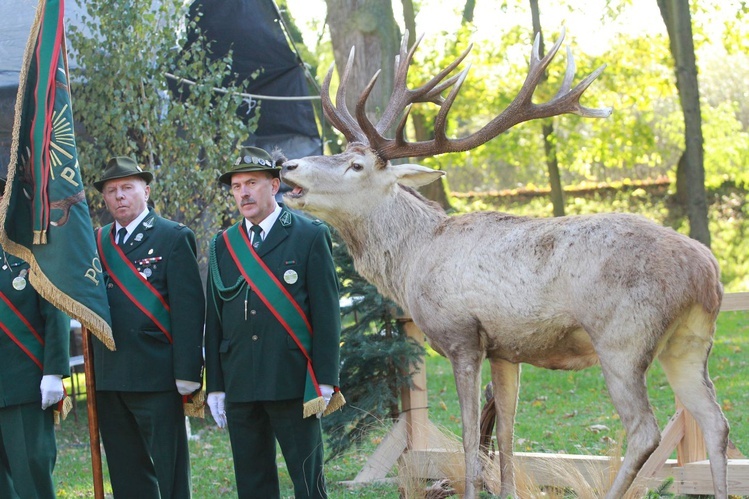 VII Hubertus Okręgu Tarnowskiewgo