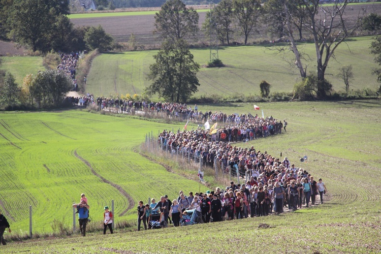 Pielgrzymka trzebnicka 2019 - cz. 6