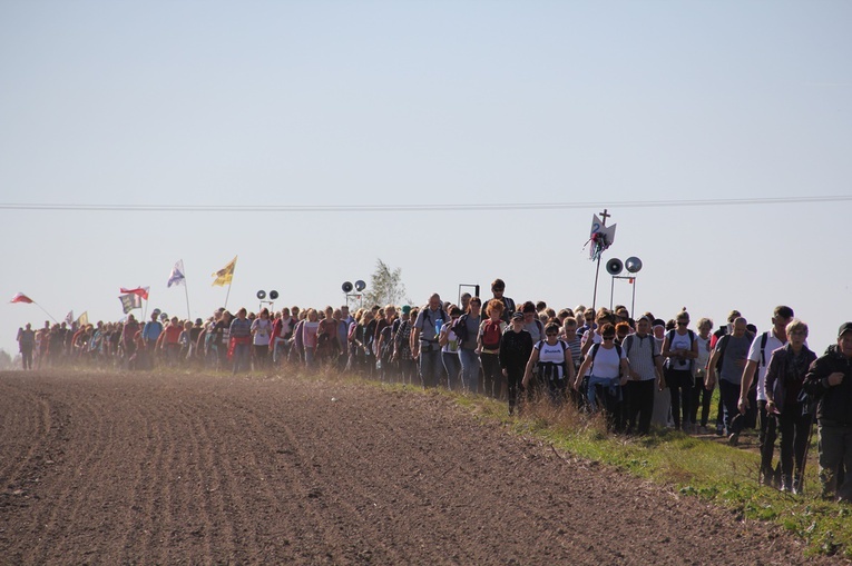Pielgrzymka trzebnicka 2019 - cz. 6