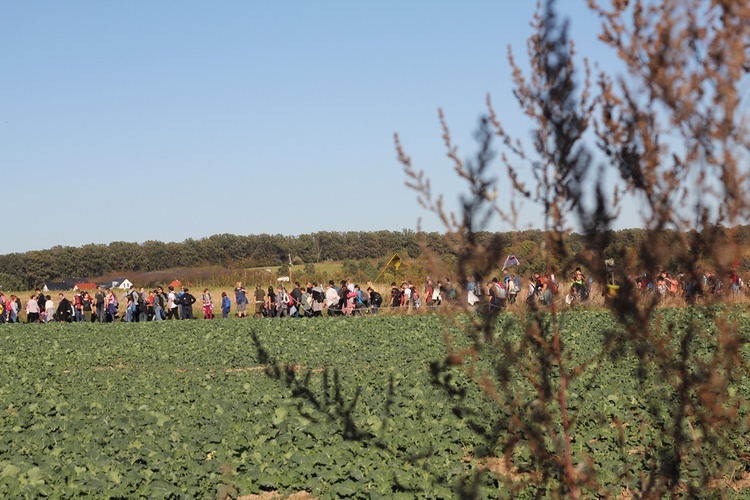 Pielgrzymka trzebnicka 2019 - cz. 13