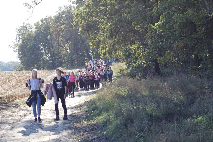 Pielgrzymka trzebnicka 2019 - cz. 13