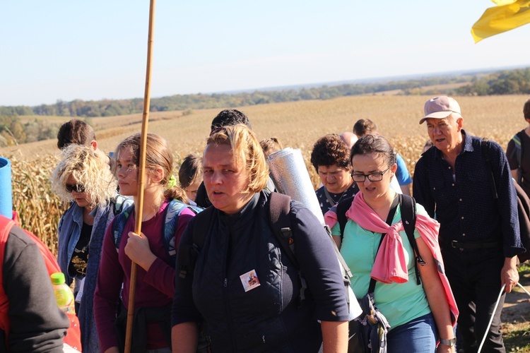 Pielgrzymka trzebnicka 2019 - cz. 13