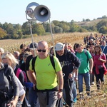 Pielgrzymka trzebnicka 2019 - cz. 13