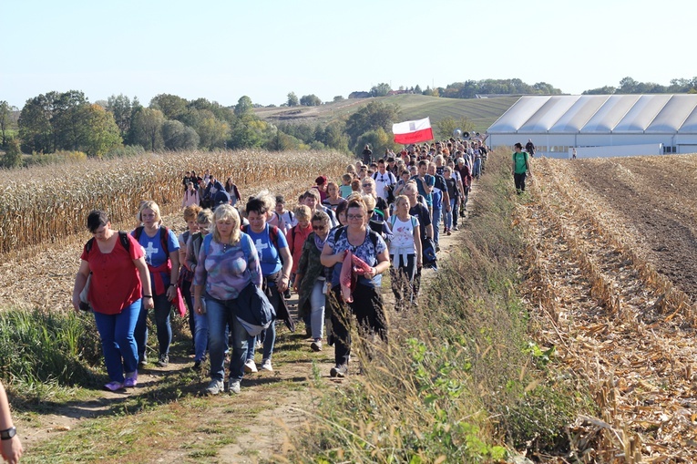 Pielgrzymka trzebnicka 2019 - cz. 13