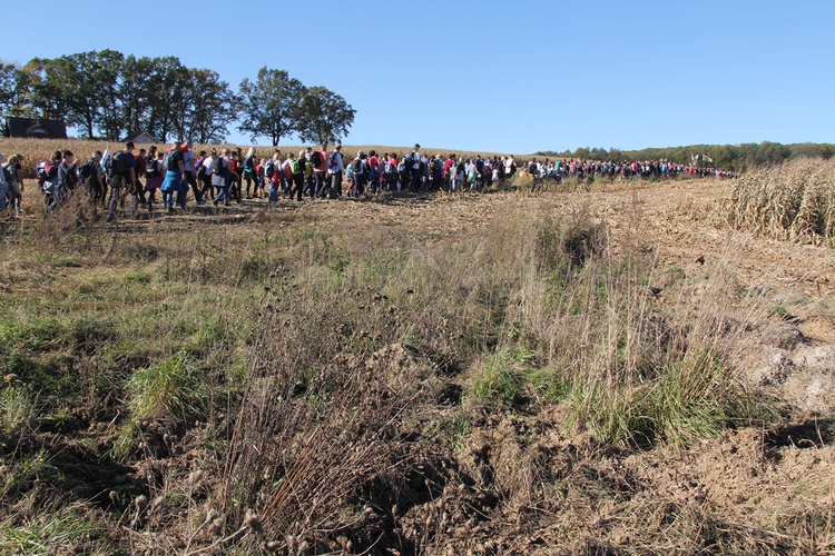 Pielgrzymka trzebnicka 2019 - cz. 13