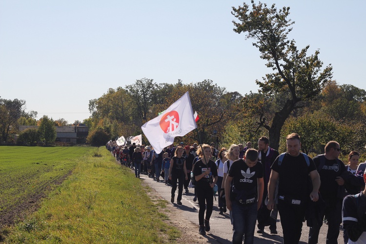 Pielgrzymka trzebnicka 2019 - cz. 13