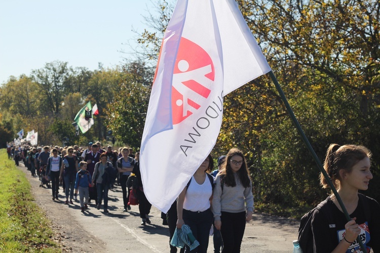 Pielgrzymka trzebnicka 2019 - cz. 13