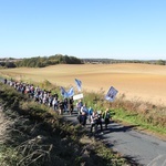 Pielgrzymka trzebnicka 2019 - cz. 15 (Bagno - Trzebnica)