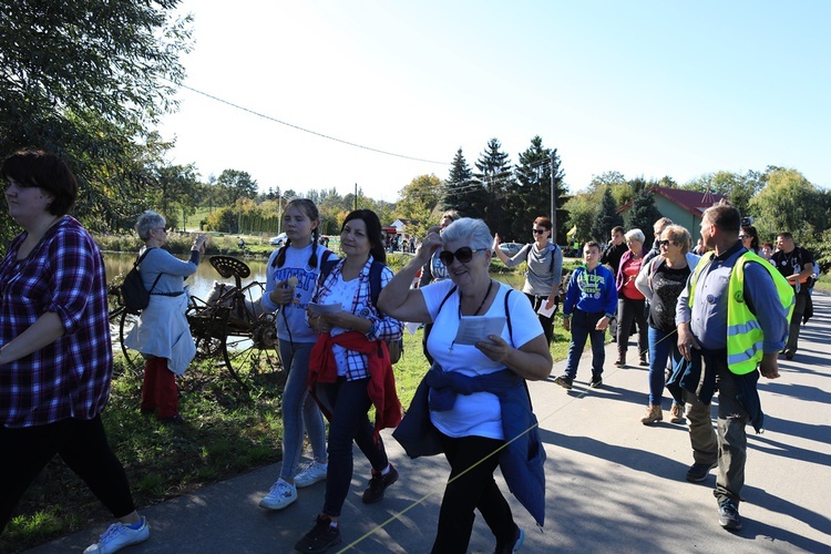 Pielgrzymka trzebnicka 2019 - cz. 15 (Bagno - Trzebnica)