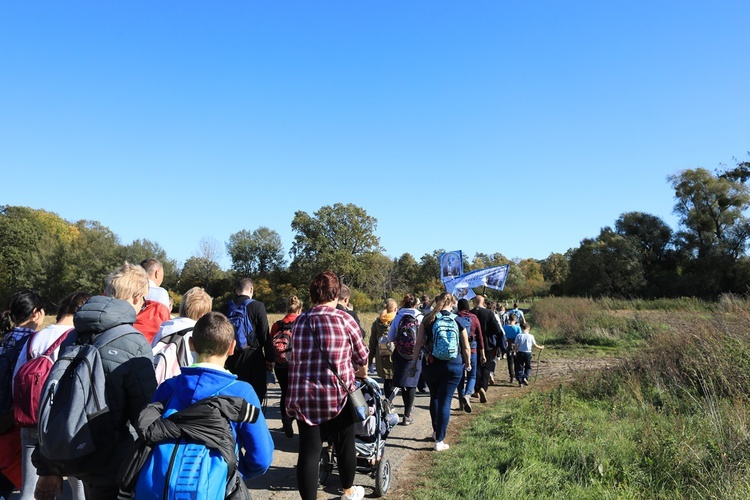 Pielgrzymka trzebnicka 2019 - cz. 15 (Bagno - Trzebnica)