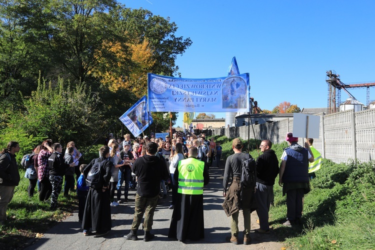 Pielgrzymka trzebnicka 2019 - cz. 15 (Bagno - Trzebnica)