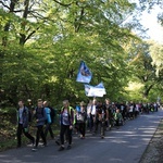 Pielgrzymka trzebnicka 2019 - cz. 15 (Bagno - Trzebnica)