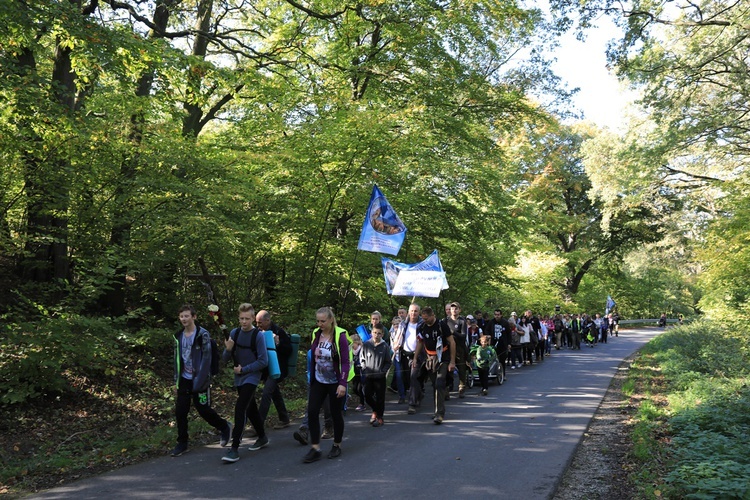 Pielgrzymka trzebnicka 2019 - cz. 15 (Bagno - Trzebnica)