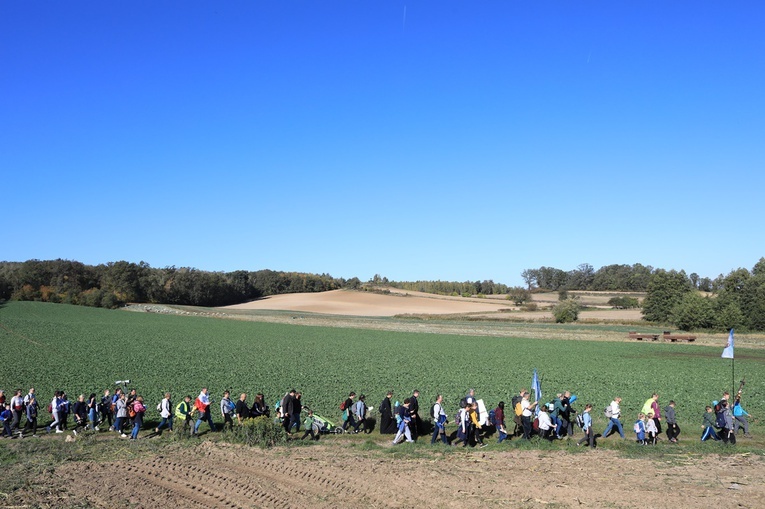 Pielgrzymka trzebnicka 2019 - cz. 15 (Bagno - Trzebnica)