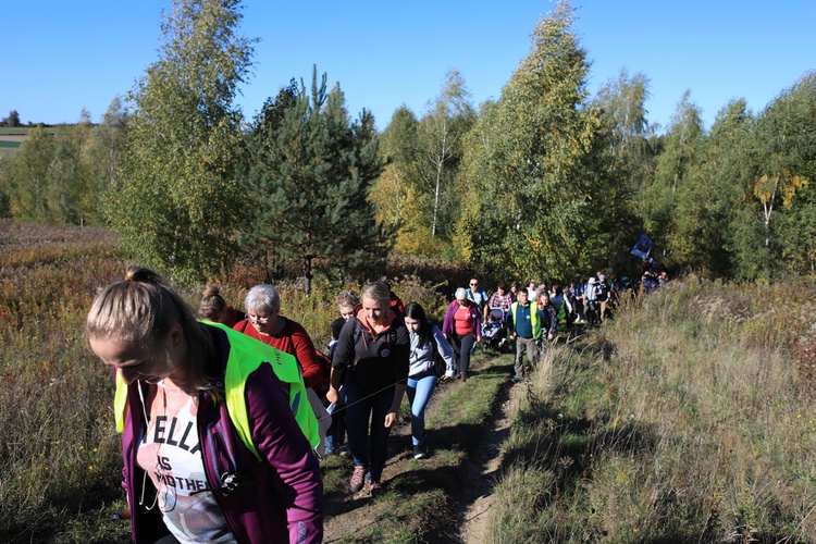 Pielgrzymka trzebnicka 2019 - cz. 15 (Bagno - Trzebnica)