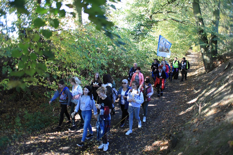 Pielgrzymka trzebnicka 2019 - cz. 15 (Bagno - Trzebnica)