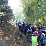 Pielgrzymka trzebnicka 2019 - cz. 15 (Bagno - Trzebnica)