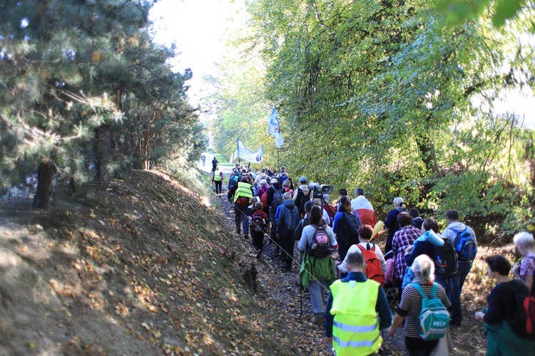 Pielgrzymka trzebnicka 2019 - cz. 15 (Bagno - Trzebnica)