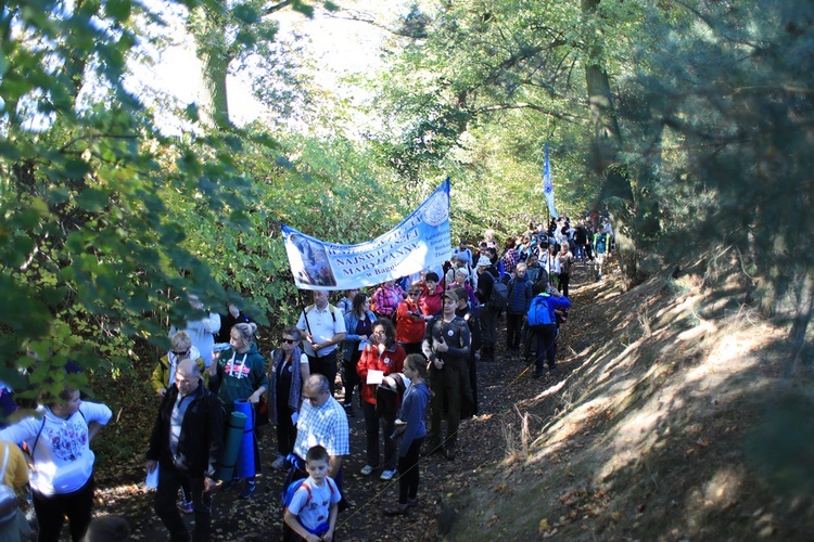 Pielgrzymka trzebnicka 2019 - cz. 15 (Bagno - Trzebnica)