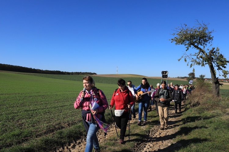 Pielgrzymka trzebnicka 2019 - cz. 15 (Bagno - Trzebnica)