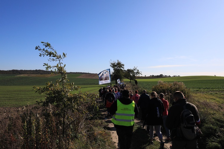 Pielgrzymka trzebnicka 2019 - cz. 15 (Bagno - Trzebnica)