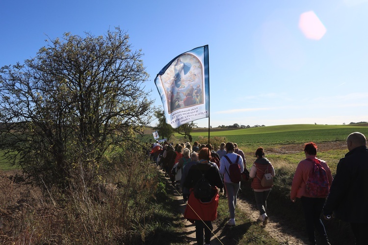 Pielgrzymka trzebnicka 2019 - cz. 15 (Bagno - Trzebnica)