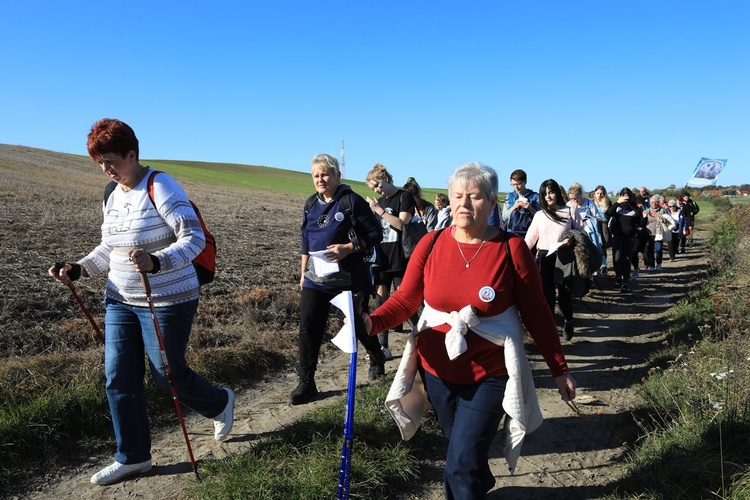 Pielgrzymka trzebnicka 2019 - cz. 15 (Bagno - Trzebnica)