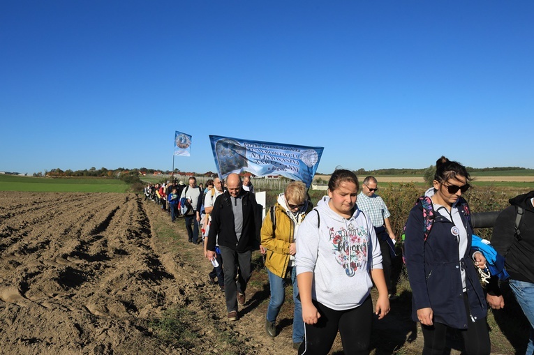 Pielgrzymka trzebnicka 2019 - cz. 15 (Bagno - Trzebnica)