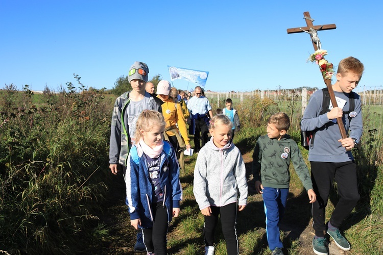 Pielgrzymka trzebnicka 2019 - cz. 15 (Bagno - Trzebnica)