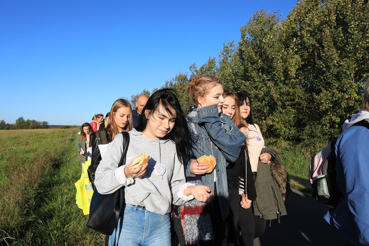 Pielgrzymka trzebnicka 2019 - cz. 15 (Bagno - Trzebnica)