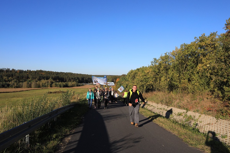 Pielgrzymka trzebnicka 2019 - cz. 15 (Bagno - Trzebnica)